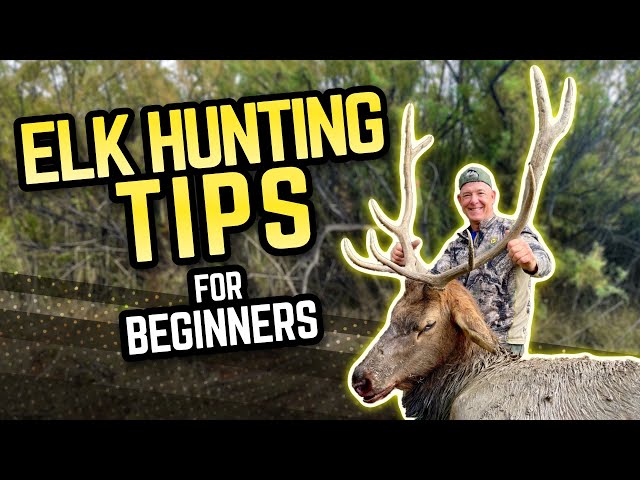 Deer Hunting Tips for Beginners