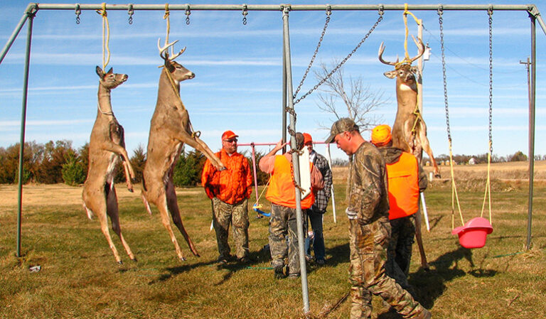 How Long Can a Deer Hang